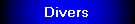 divers.jpg (798 octets)